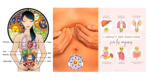 Apprendre à se masser le ventre à Auray, Auray, Marie-Pierre Ferland